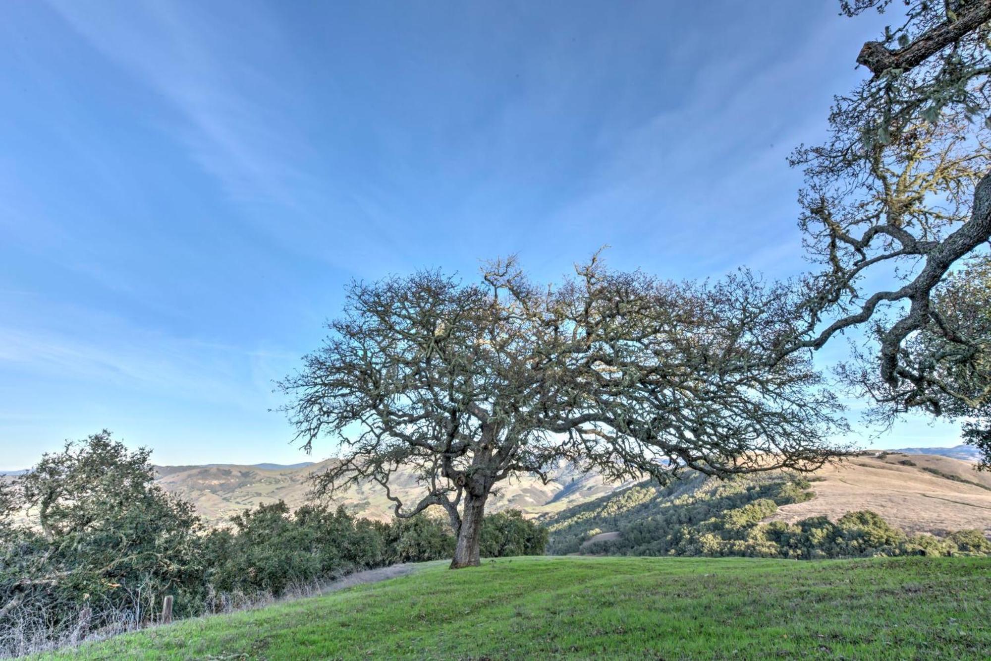 Lx37 Weathertop Ranch In Carmel Wine Country Carmel Valley Exterior photo